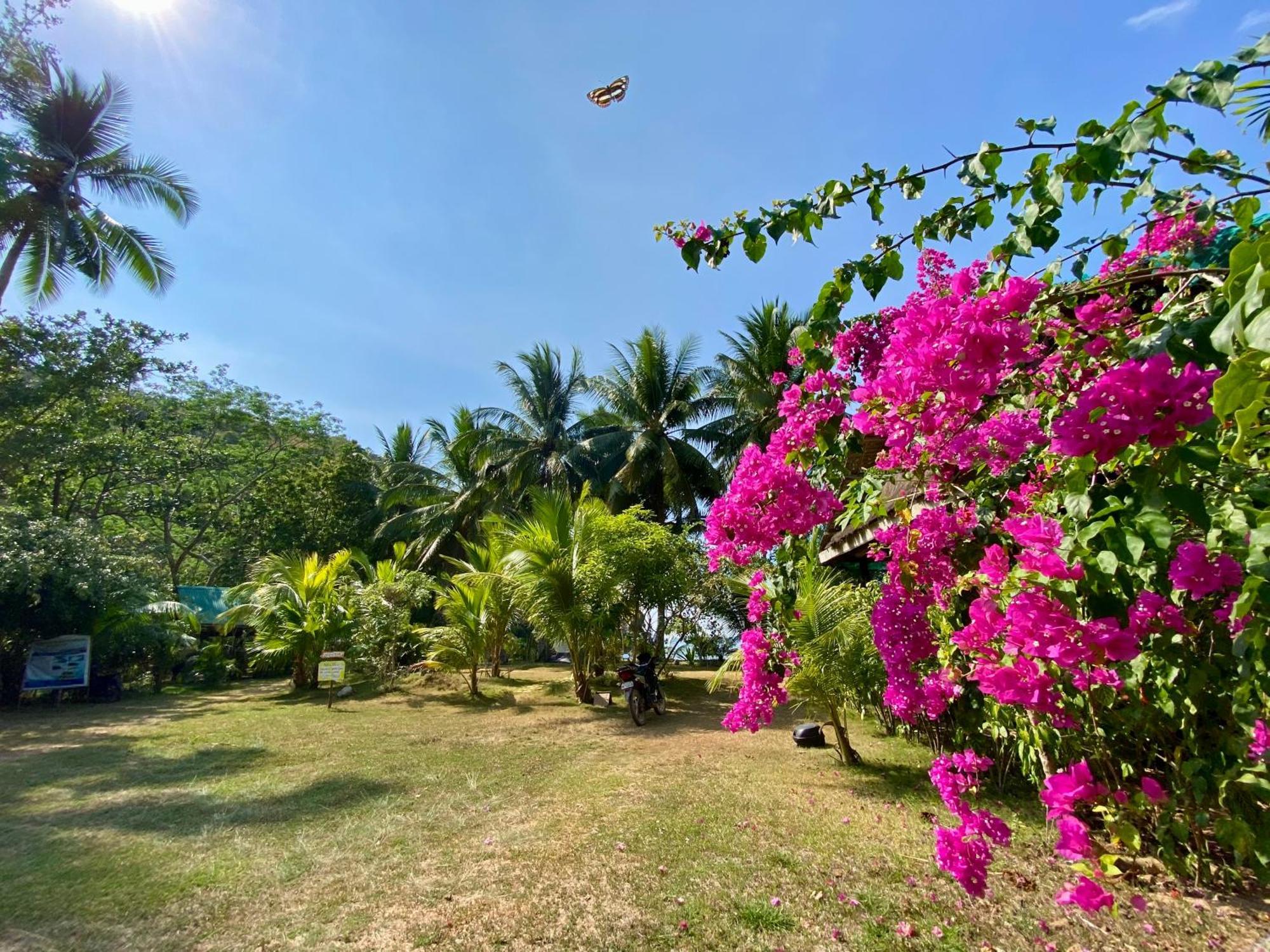 Ocamocam Beach Nature Resort New Busuanga Exterior foto